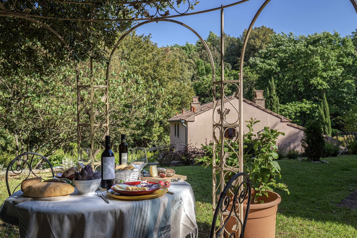 Il bosco di castagni e querce che circonda Pian delle More, nel Parco di Poggio Neri a Sassetta